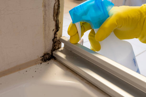 Best Residential Mold Removal  in Freedom, PA